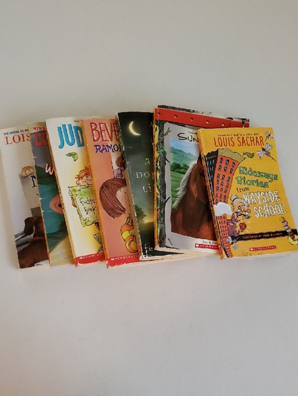 Scholastic Children's Book Set - 7 Chapter Books - 4th Grade